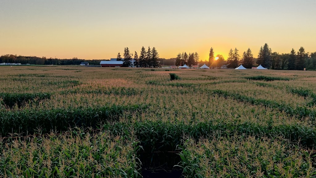 Edmonton Corn Maze | 26171 Secondary Hwy 627, Spruce Grove, AB T7Y 1B3, Canada | Phone: (825) 535-3600