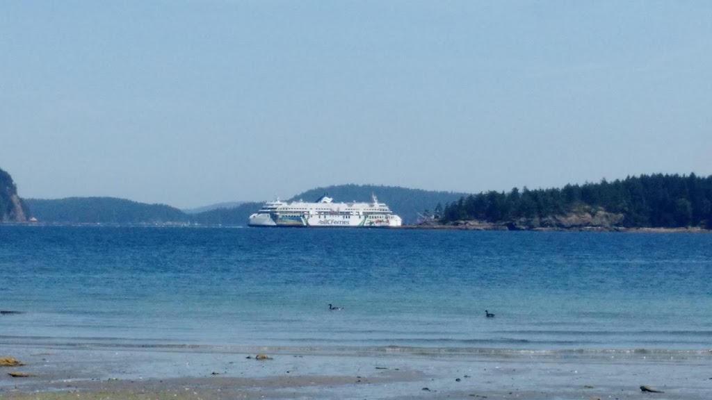 Protection Island Ferry | 8 Pirates Ln, Nanaimo, BC V9R 6R1, Canada | Phone: (250) 753-8244