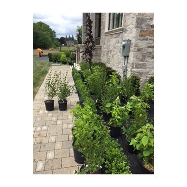 Sunland Landscape & Garden Center | 2737 Bloomington Rd, Gormley, ON L0H 1G0, Canada | Phone: (905) 888-1962