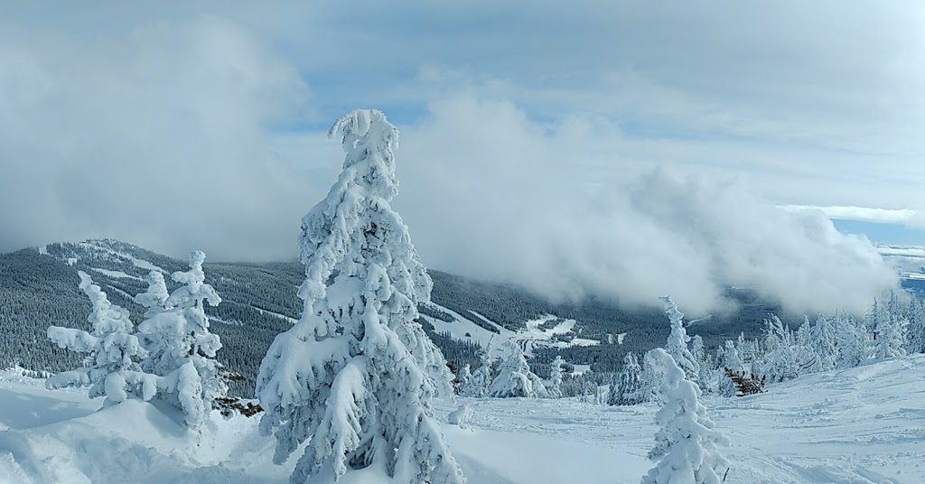 Mount Baldy Family Ski Area | BORDERLINE SKI CLUB, Oliver, BC V0H 1B0, Canada | Phone: (250) 498-4086