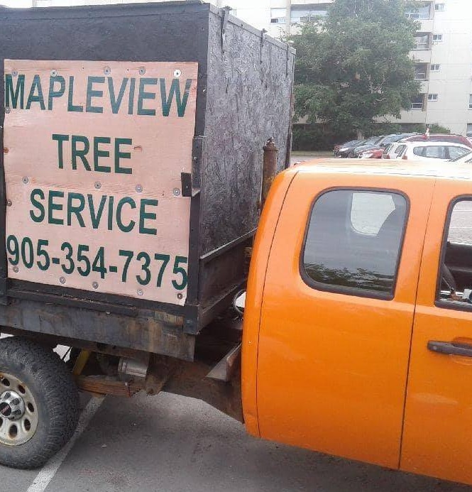 Mapleview Tree Service | 4505 Baker Rd, Niagara Falls, ON L2H 1Y5, Canada | Phone: (905) 354-7375