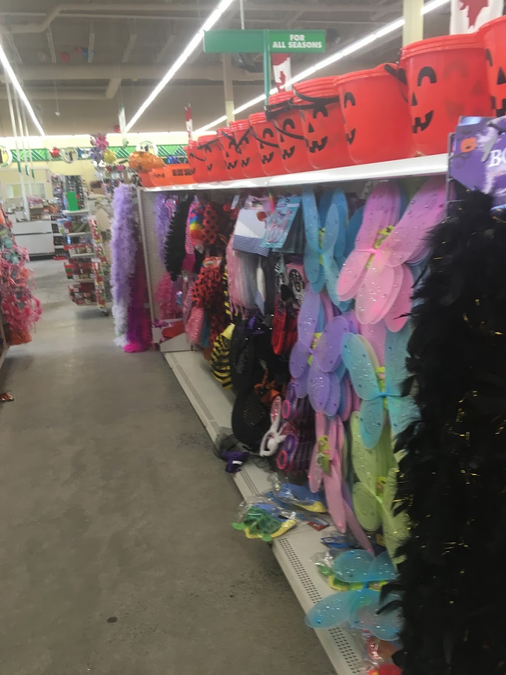 Dollar Tree | 1750 Innes Rd, Gloucester, ON K1B 3K5, Canada | Phone: (613) 741-2519