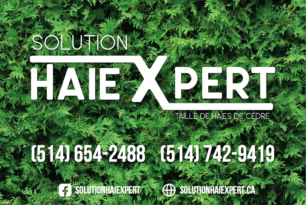 Solution Haiexpert | 345 Rue St Marc, Châteauguay, QC J6J 2K2, Canada | Phone: (514) 654-2488