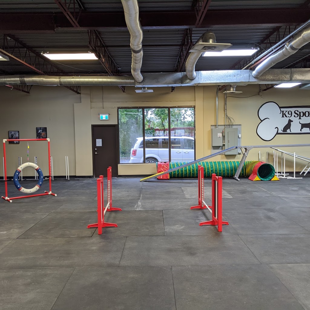 K9 Sports Centre | 396 Flora St, Carleton Place, ON K7C 3M9, Canada | Phone: (613) 371-2740