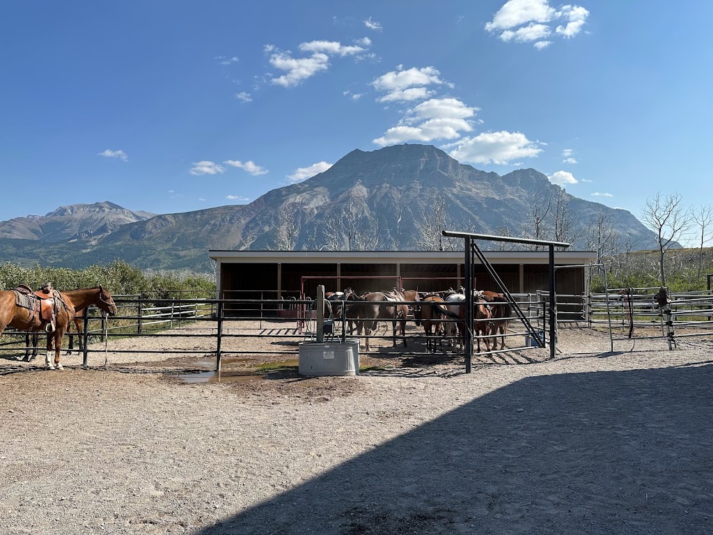 Alpine Stables Ltd | 1 marquis road, Waterton Park, AB T0K 2M0, Canada | Phone: (403) 859-2462