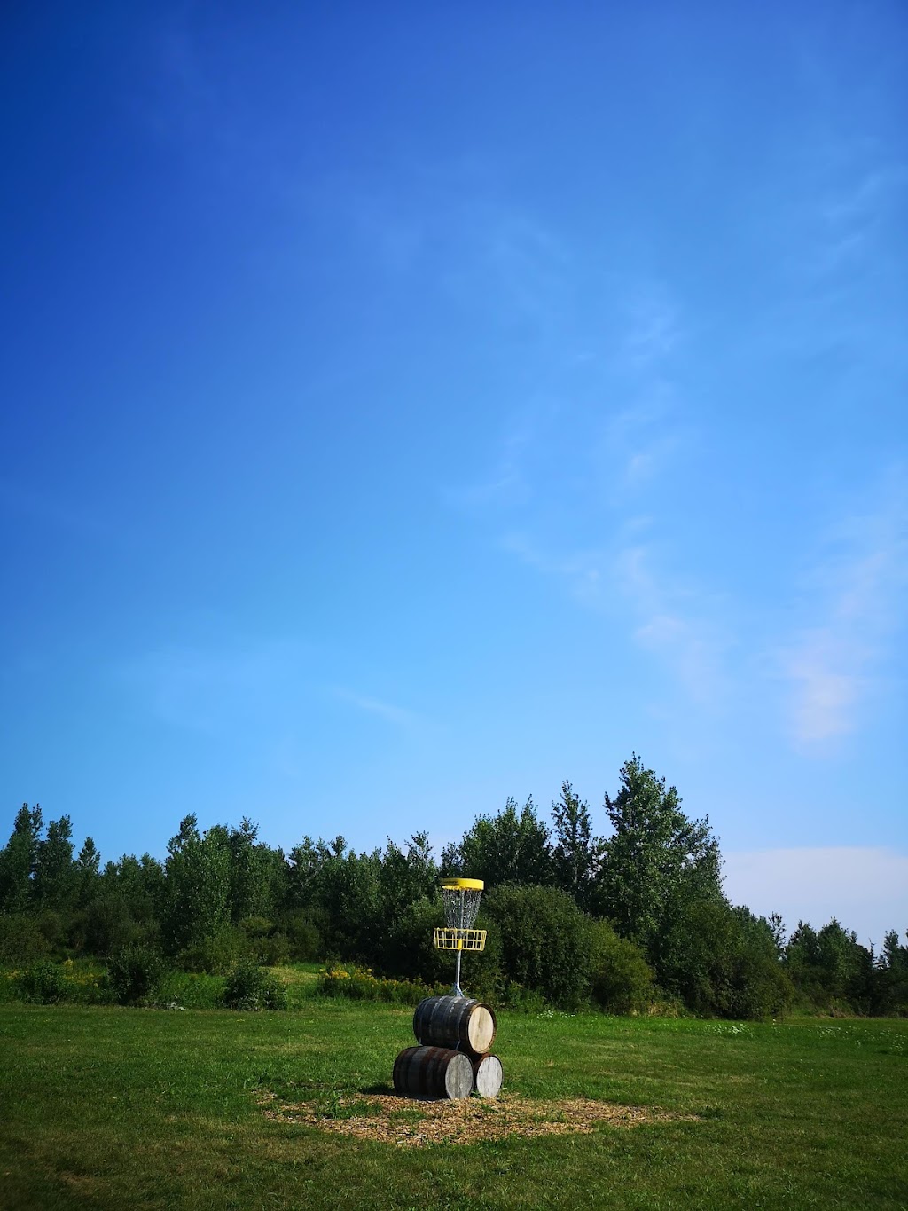 County Disc Golf | 13370 Loyalist Pkwy, Picton, ON K0K 2T0, Canada | Phone: (778) 988-2214