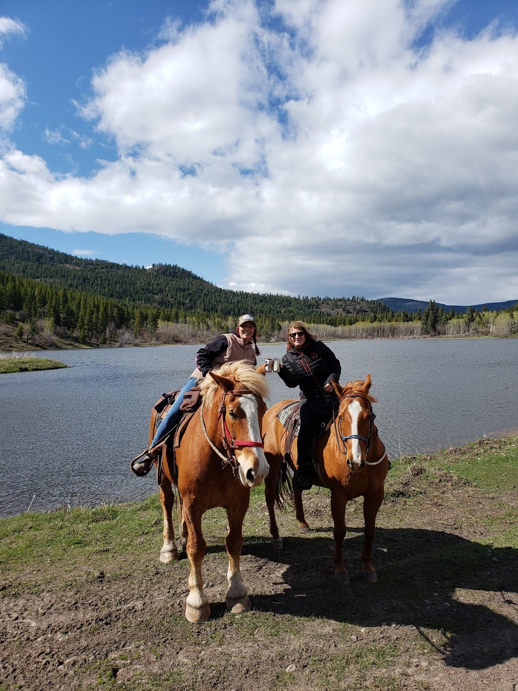 COLDWATER STABLES | Patchett Rd, Merritt, BC V1K 1M9, Canada | Phone: (604) 209-4097