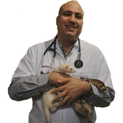 Richmond Veterinary House Call Services | 105 Lacewood Dr, Richmond Hill, ON L4S 0E6, Canada | Phone: (647) 873-3194