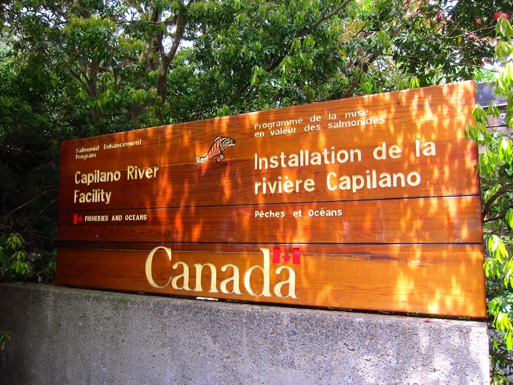 Capilano River Hatchery | 4500 Capilano Park Rd, North Vancouver, BC V7R 4L3, Canada | Phone: (604) 666-1790