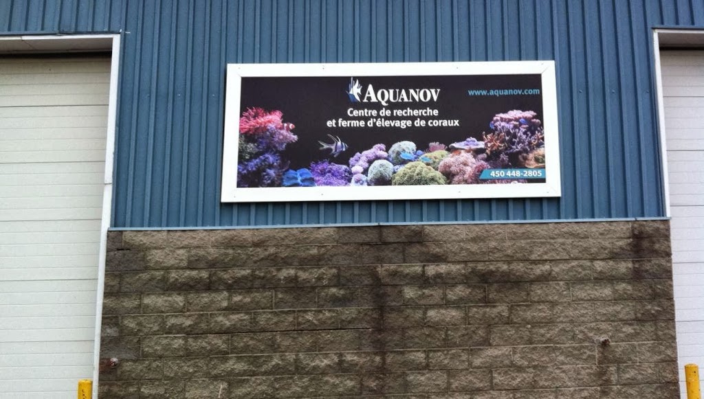 Aquanov Canada Inc (Le Groupe) | 5859 Rue de lENA, Saint-Hubert, QC J3Y 8Y9, Canada | Phone: (450) 448-2805