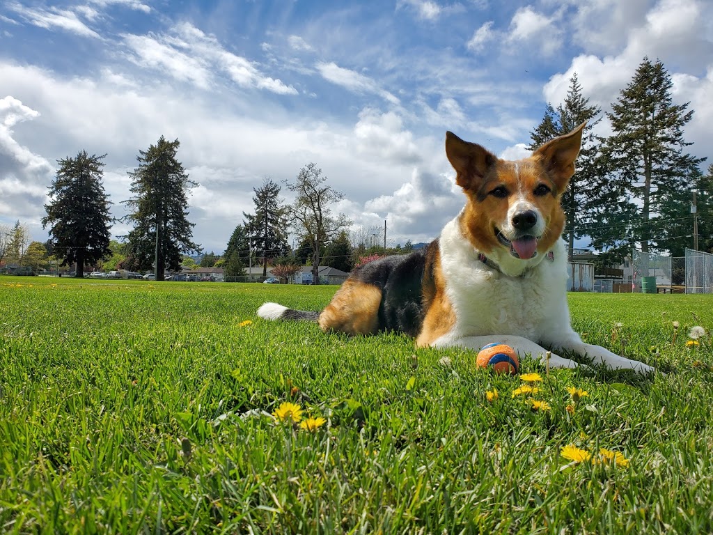 Millstream Veterinary Hospital | 169-2401C Millstream Rd, Victoria, BC V9B 3R5, Canada | Phone: (778) 430-8387