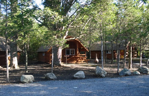 1000 Islands / Kingston KOA Holiday | 2039 Cordukes Rd, Kingston, ON K7L 4V4, Canada | Phone: (613) 546-6140