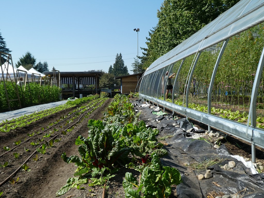 Loutet Farm | 1400 Rufus Ave, North Vancouver, BC V7L 4J2, Canada | Phone: (604) 987-8138