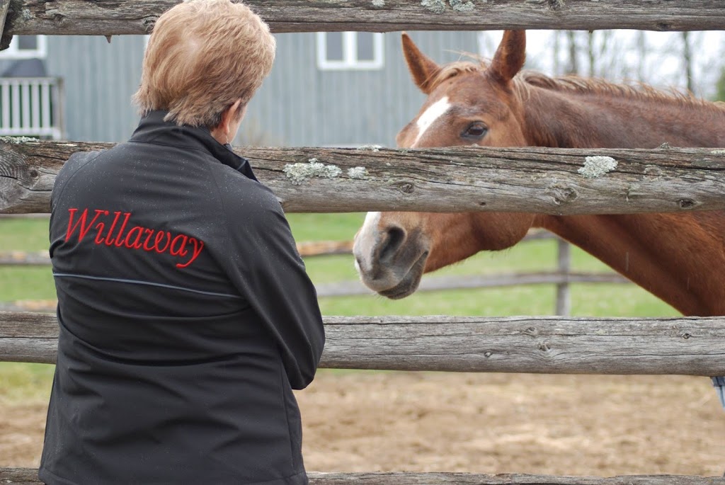 Willaway Farm | 514 Ramsay Concession 12, Almonte, ON K0A 1A0, Canada | Phone: (613) 257-7707