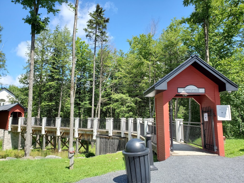 Le Vignoble du Ruisseau | 4500 Chemin Strobl, Dunham, QC J0E 1M0, Canada | Phone: (450) 538-3782