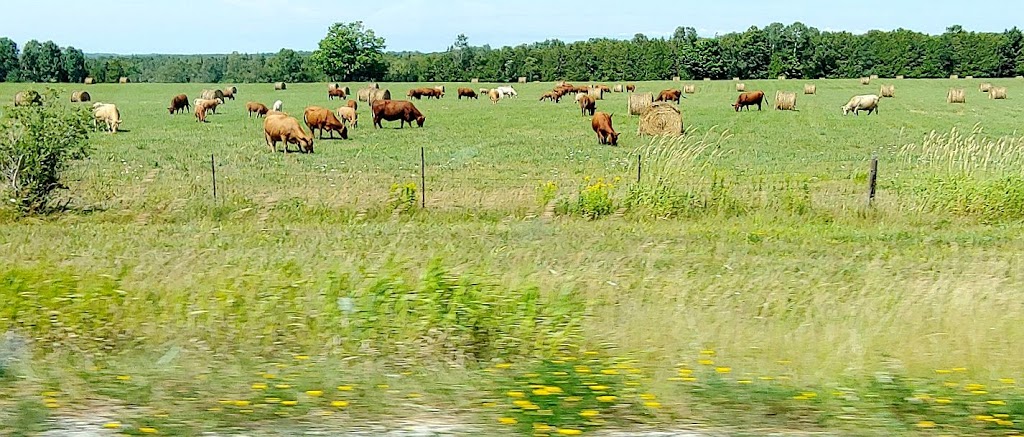 Ten Mile Point | Manitoulin Island, ON P0P 1N0, Canada | Phone: (705) 968-0556