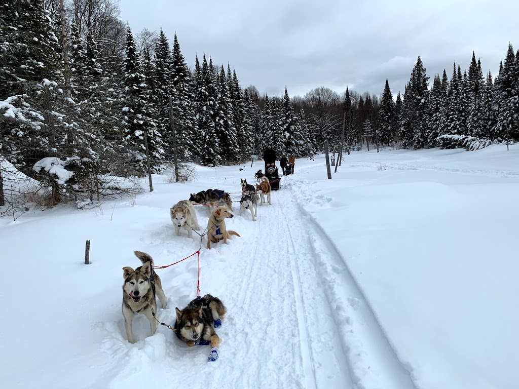 Centre d’activités nature Kanatha-Aki Traîneau à Chiens Équitati | 11 Chemin du Lac de lOrignal, Val-des-Lacs, QC J0T 2P0, Canada | Phone: (819) 321-1890