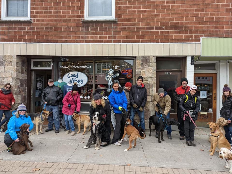 edthedogtrainer | 12439 Ninth Line #207, Whitchurch-Stouffville, ON L4A 1J3, Canada | Phone: (647) 884-3437