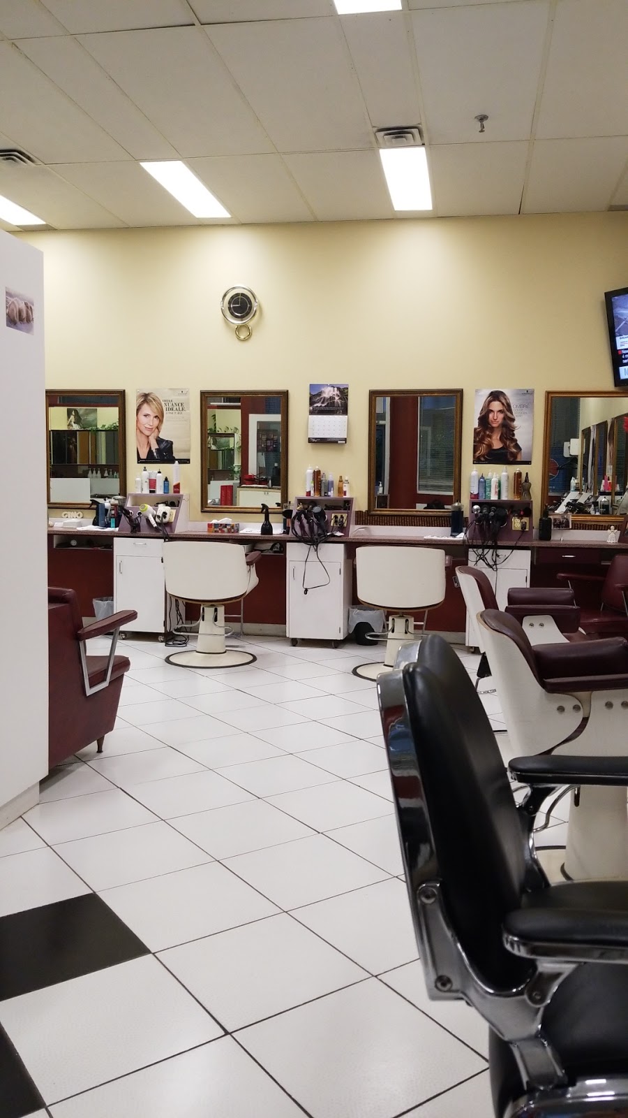 Bayview Hair Place Inc | 500 Sheppard Ave E, North York, ON M2N 6H7, Canada | Phone: (416) 222-6071