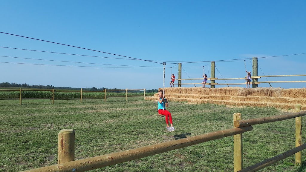 K3 Corn Maze & Family Farm | 19409 Township Road 512, AB T0B 4J0, Canada | Phone: (780) 819-1485