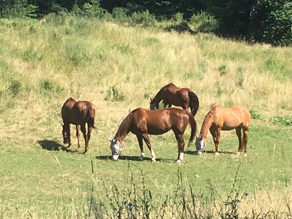 View Point Farm | 2465 Britannia Rd, Burlington, ON L7P 0E9, Canada | Phone: (905) 335-1963