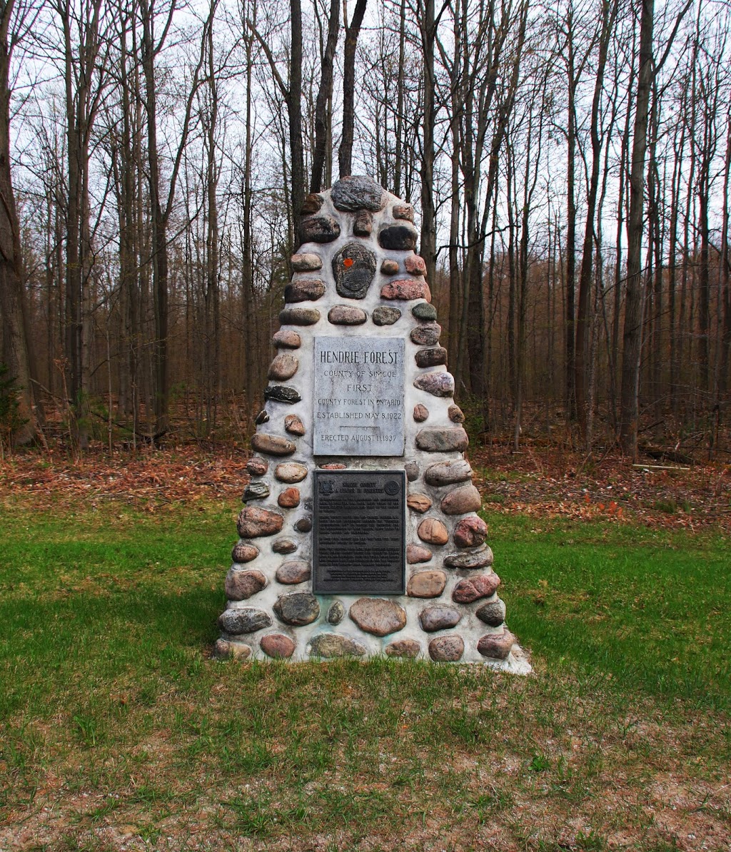 Hendrie Forest | Minesing, ON L0L 1Y0, Canada