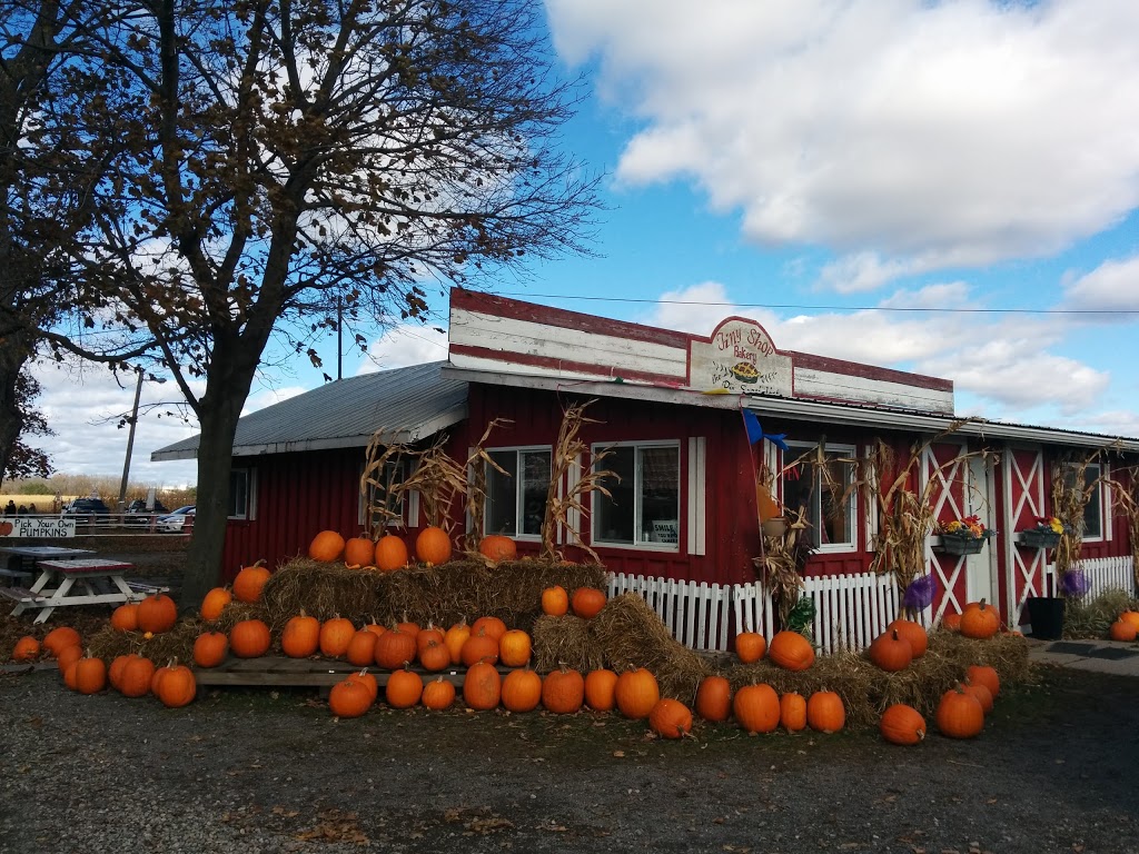 Hanes Corn Maze | 1001 #, ON-5, Dundas, ON L9H 5E2, Canada | Phone: (905) 628-5280