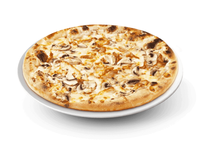 Pizza JL | 210 Rue Sainte-Catherine Porte 103, Saint-Constant, QC J5A 2J4, Canada | Phone: (450) 845-3565