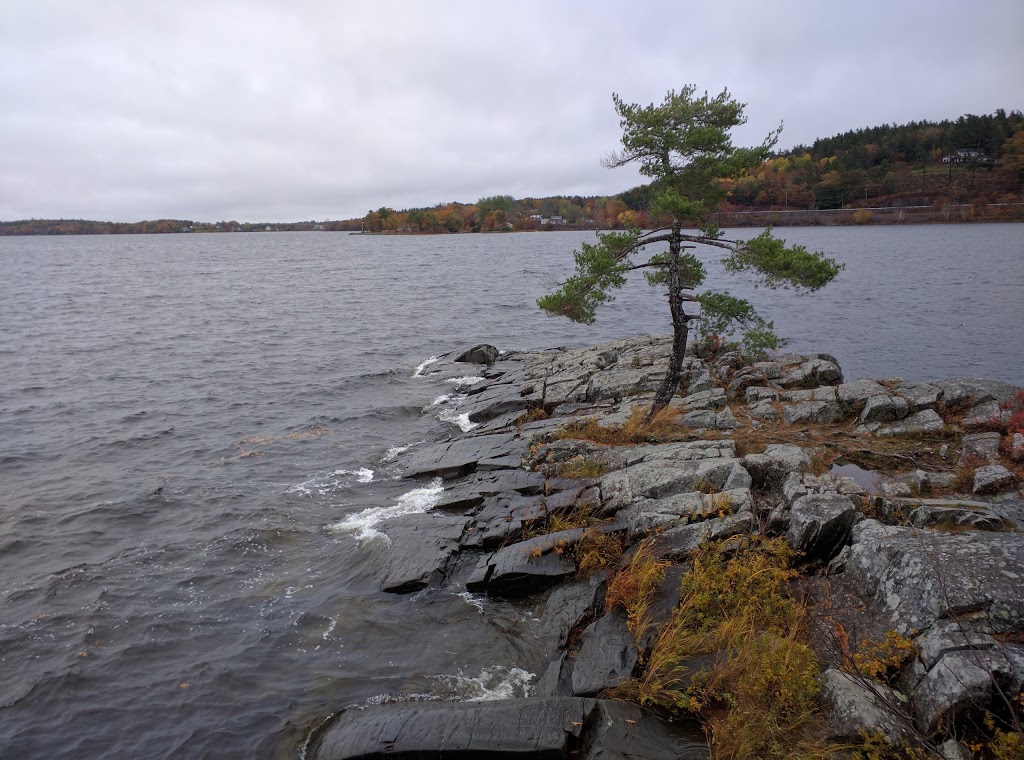 Laurie Provincial Park | 4949 Nova Scotia Trunk 2, Mount Uniacke, NS B0N 1Z0, Canada | Phone: (888) 544-3434