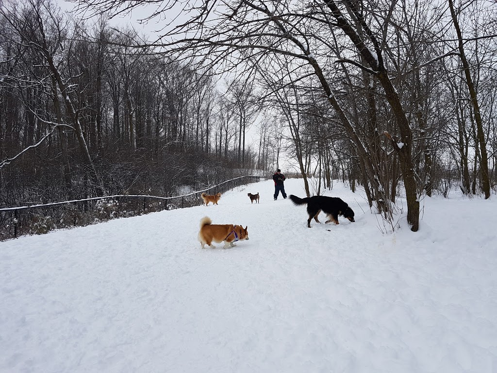 McLennan Park Gated Dog Park | 1T4,, McLennan Park Gate, Kitchener, ON N2E 1T4, Canada