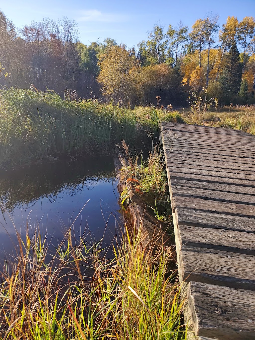 Bear Lake Hiking Trail | Provincial Trunk Hwy 44, Falcon Beach, MB R0E 0N0, Canada | Phone: (204) 369-3157