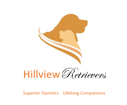 Hillview Retrievers | 323 Windham Road 5, La Salette, ON N0E 1H0, Canada | Phone: (519) 788-1858