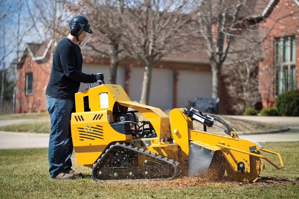 Axelson Stump Grinding | 33199 Richards Ave, Mission, BC V2V 7E5, Canada | Phone: (604) 200-8952