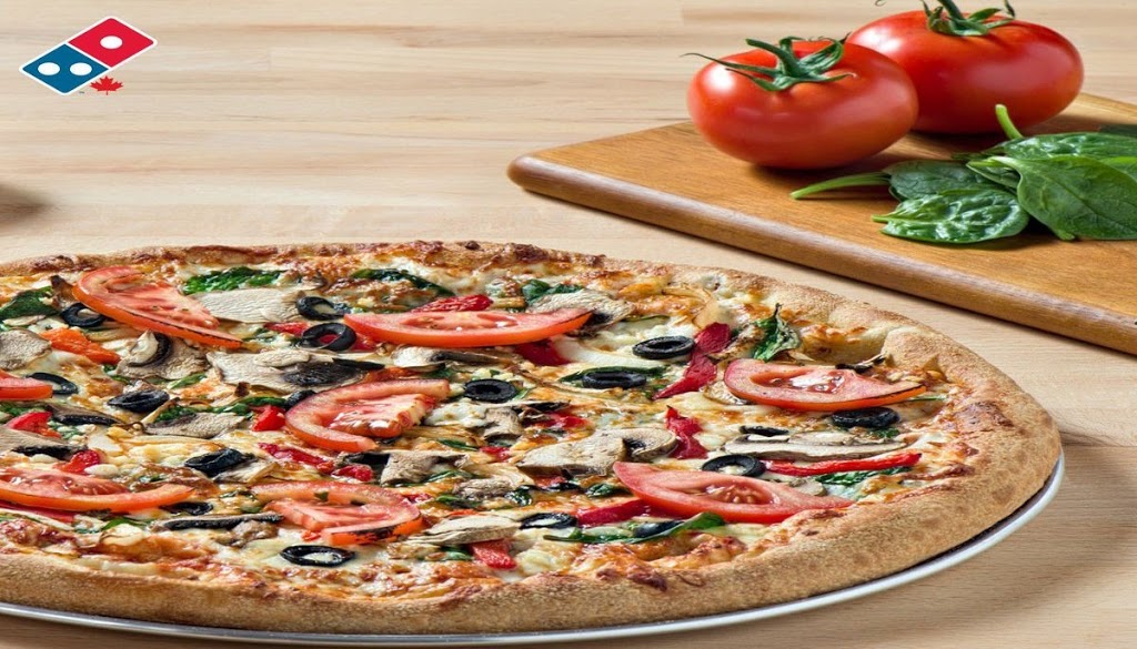 Dominos Pizza | 1965 Main St Unit #8, Winnipeg, MB R2V 2B5, Canada | Phone: (204) 987-5598