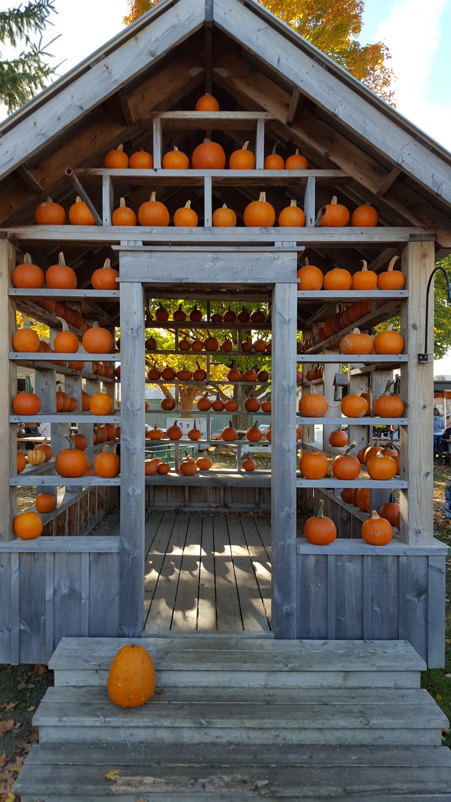 Millers Farm and Market | 6158 Rideau Valley Dr N, Manotick, ON K4M 1B3, Canada | Phone: (613) 692-2380