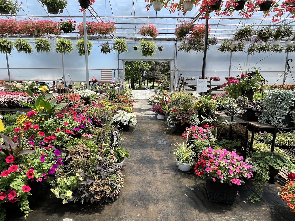 Andrew’s Greenhouse | 2587 Cockshutt Rd, Waterford, ON N0E 1Y0, Canada | Phone: (437) 335-3495