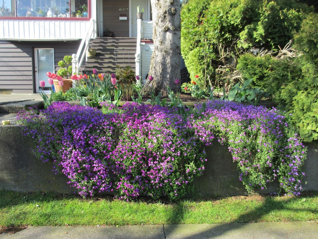 Naga Landscaping | Wellington Ave, Vancouver, BC V5R 4X8, Canada | Phone: (604) 868-9705