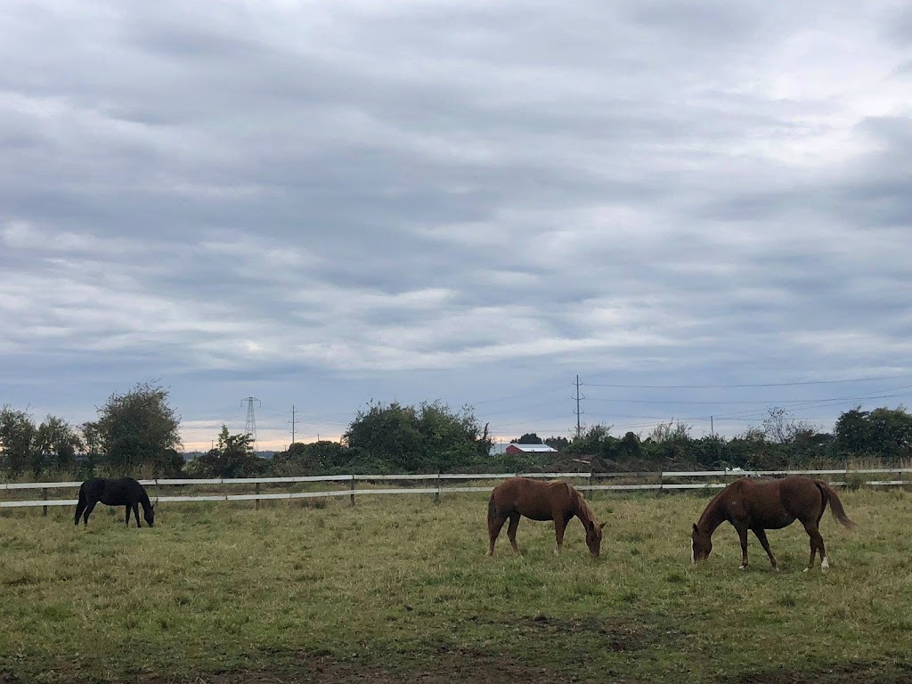 Paradise Found Farm | 4452 66 St, Delta, BC V4K 4Y8, Canada | Phone: (604) 377-6465