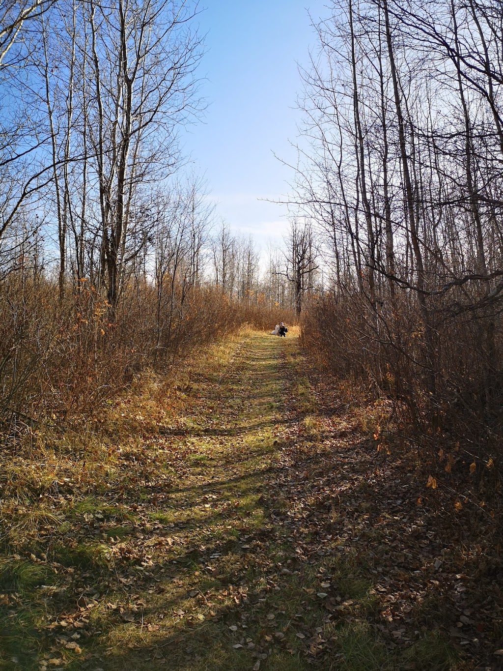 Moss lake trailhead #4 | Improvement District No. 13, AB T0B 2R0, Canada | Phone: (780) 922-5790