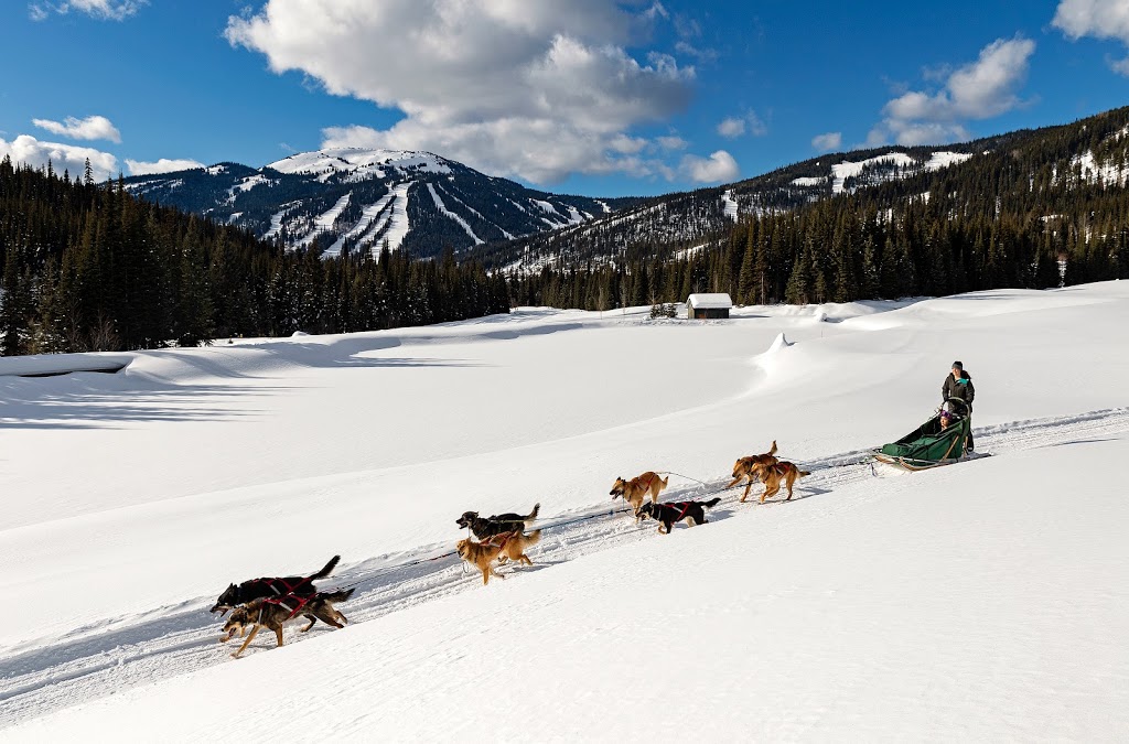 Mountain Man Dog Sled Adventures | 3250 Village Way, Sun Peaks, BC V0E 5N0, Canada | Phone: (250) 319-7205