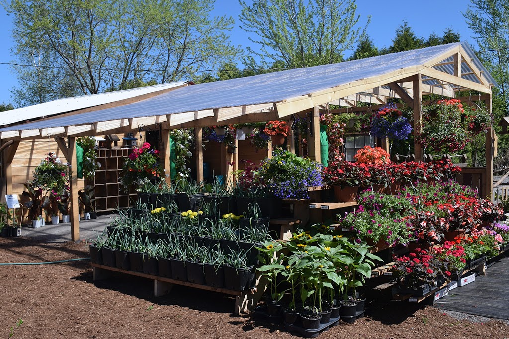 Les Jardineries St-Ambroise | 371 Rang Double, Saint-Ambroise-de-Kildare, QC J0K 1C0, Canada | Phone: (450) 752-0420