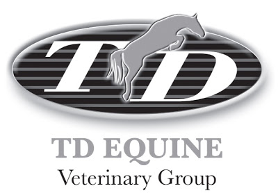 TD Equine Veterinary Group | 64134 198 Ave W, Calgary, AB T2Y 2Z7, Canada | Phone: (403) 691-9808