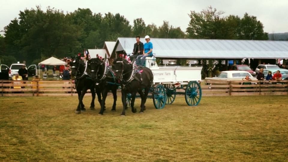 Ferme Sherrview Farm | 888 Chemin Perkins, Sutton, QC J0E 2K0, Canada | Phone: (450) 915-6511