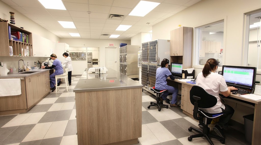 Hôpital Vétérinaire Des Prairies | 370 Boulevard Antonio-Barrette, Notre-Dame-des-Prairies, QC J6E 1G3, Canada | Phone: (450) 755-4554