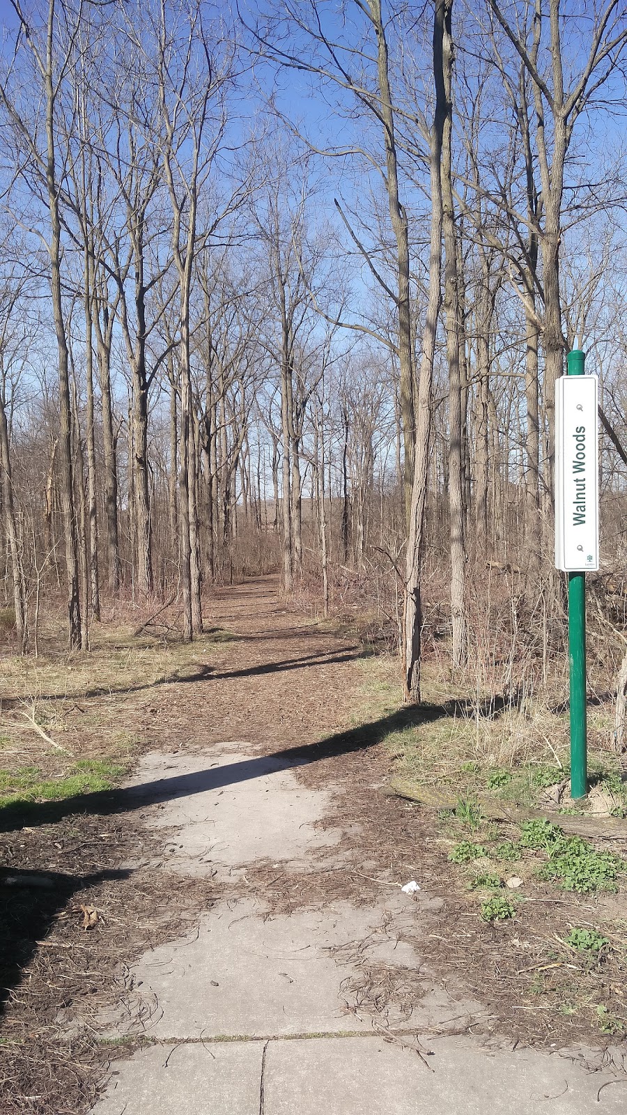 Walnut Woods Trail | 1830 Kyle Ct, London, ON N6G 0A6, Canada