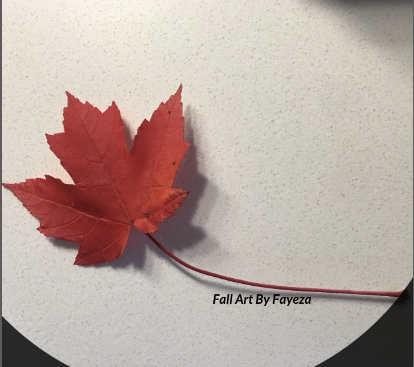 FallArt | Hoey Cres, Oakville, ON L6M 0X1, Canada | Phone: (416) 938-8600