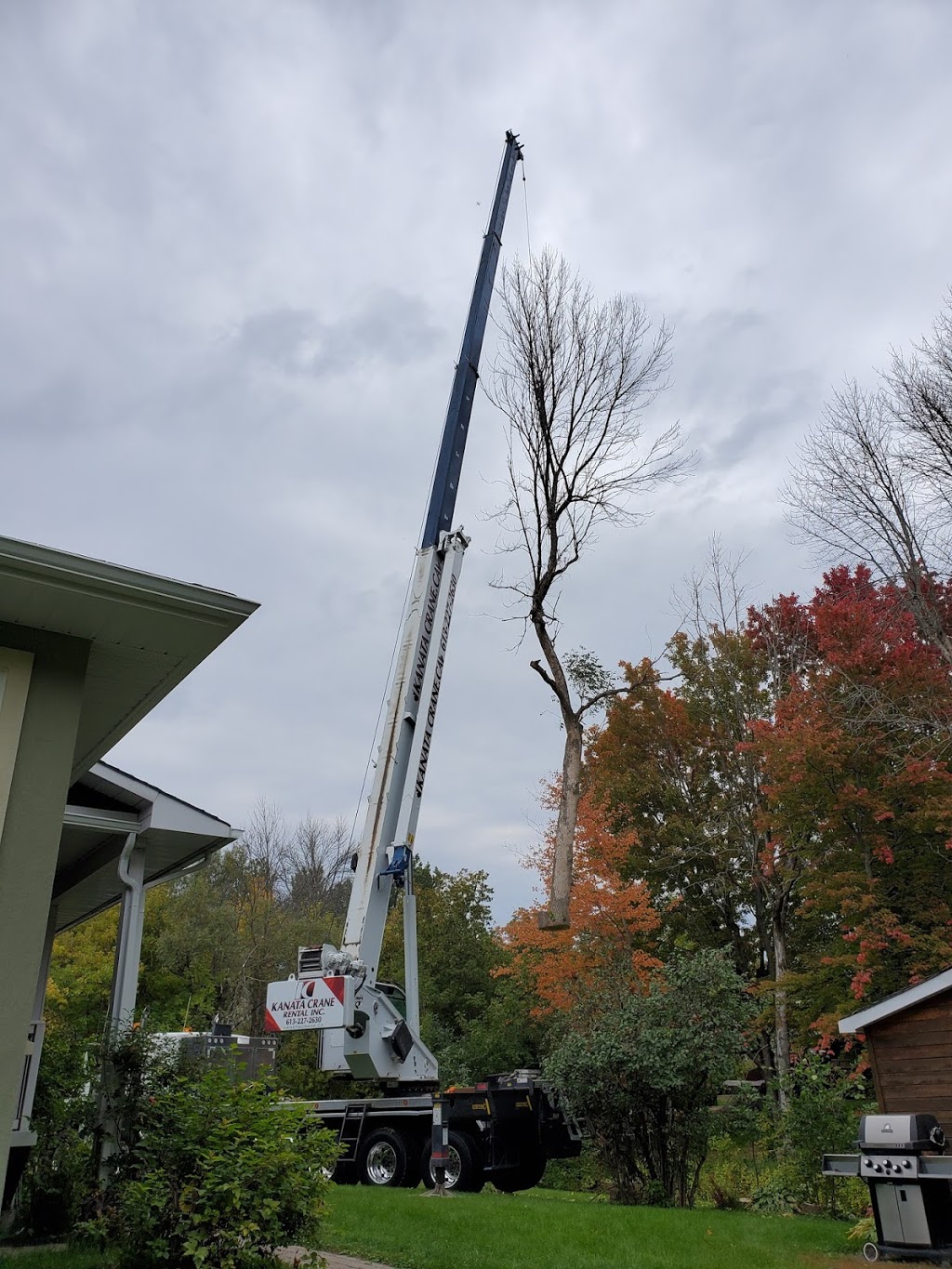 Fisher Tree Services | 3289 Munster Rd, Richmond, ON K0A 2Z0, Canada | Phone: (613) 298-3146