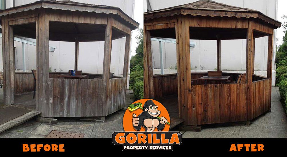 Gorilla Property Services | 20800 Lougheed Hwy. #133, Maple Ridge, BC V2X 6A0, Canada | Phone: (604) 467-4552