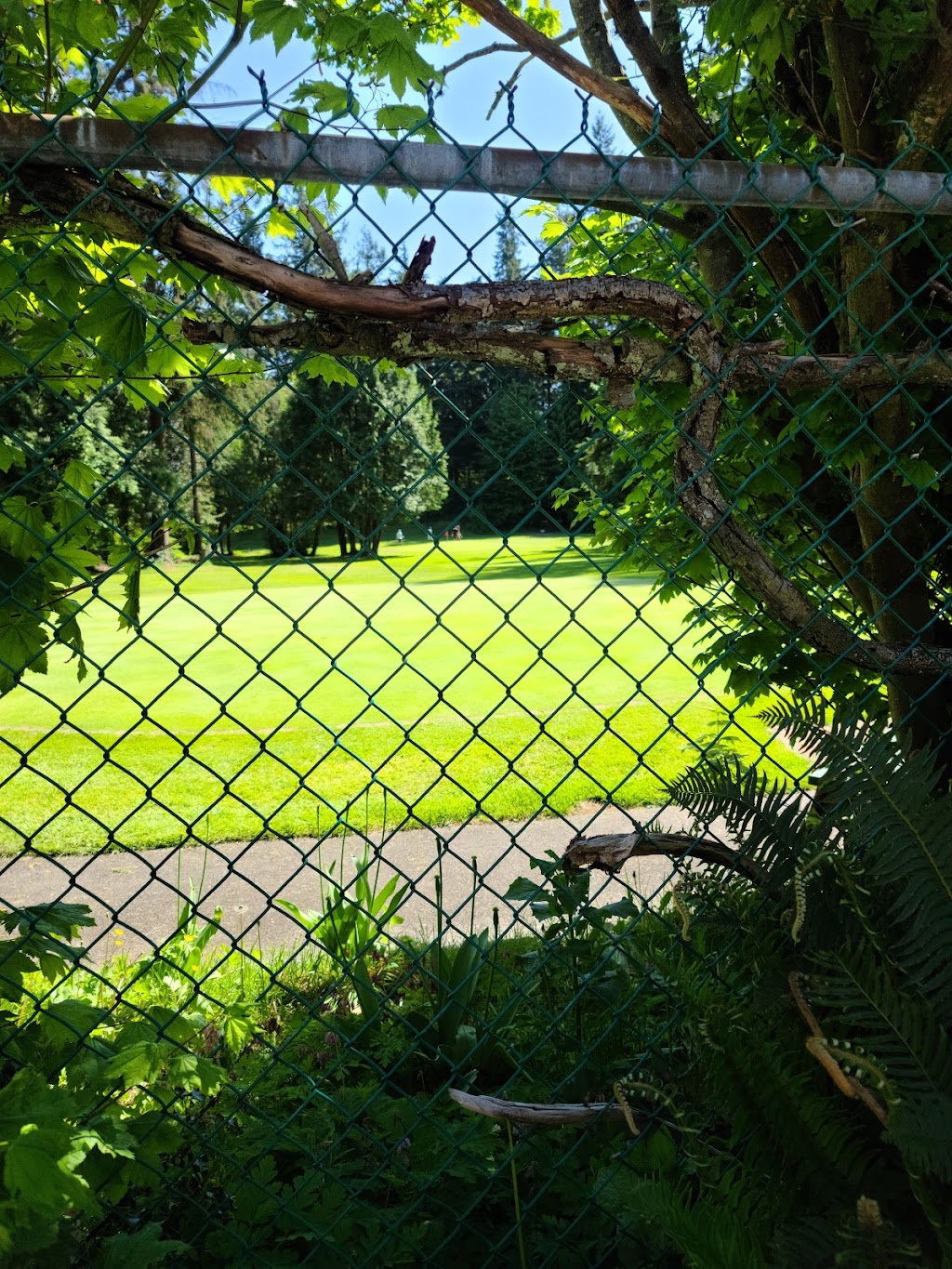 Murdo Frazer Pitch and Putt Golf Course | 2699 Pemberton Ave, North Vancouver, BC V7R 3X4, Canada | Phone: (604) 980-8410