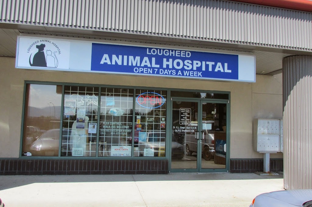 Lougheed Animal Hospital | 32423 Lougheed Hwy #108, Mission, BC V2V 7B8, Canada | Phone: (604) 826-7066